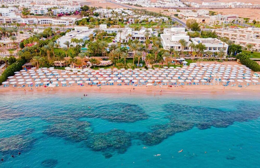 Hotel Novotel Palm - poza 3