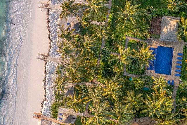 Hotel The Palms - poza 3