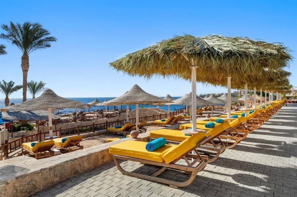 Hotel Doubletree By Hilton Sharks Bay Beach Side - poza 4